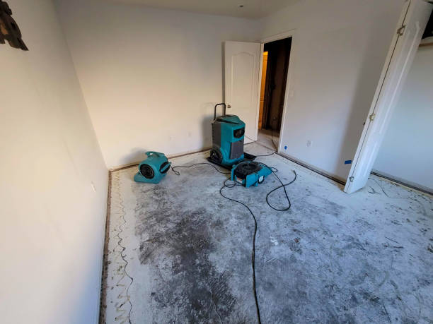 Best Water damage cleanup near me  in Vienna, WV