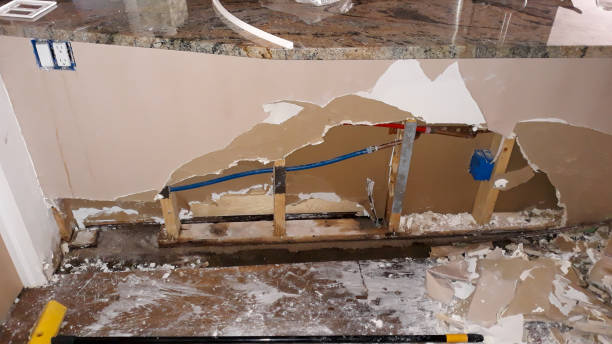 Best Carpet water damage restoration  in Vienna, WV