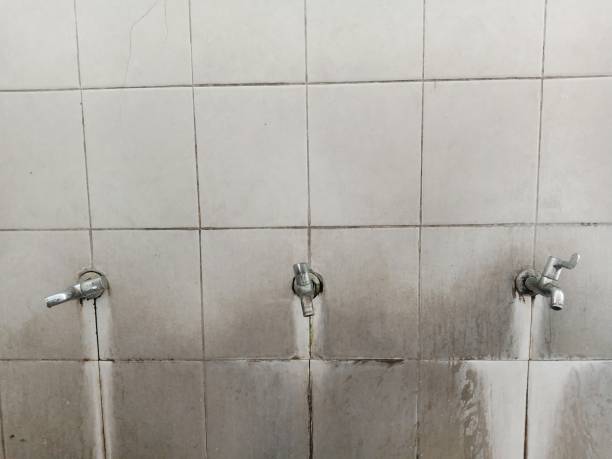 Best Flood damage cleanup  in Vienna, WV