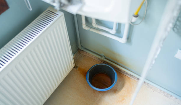 Best Flood restoration services  in Vienna, WV