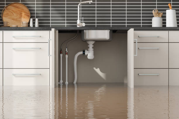 Best Basement water damage restoration  in Vienna, WV