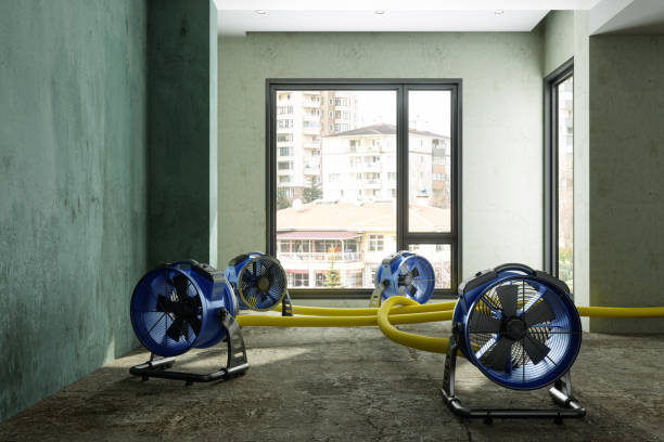 Best Water damage contractors near me  in Vienna, WV