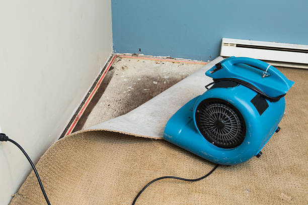 Best 24/7 water damage repair  in Vienna, WV