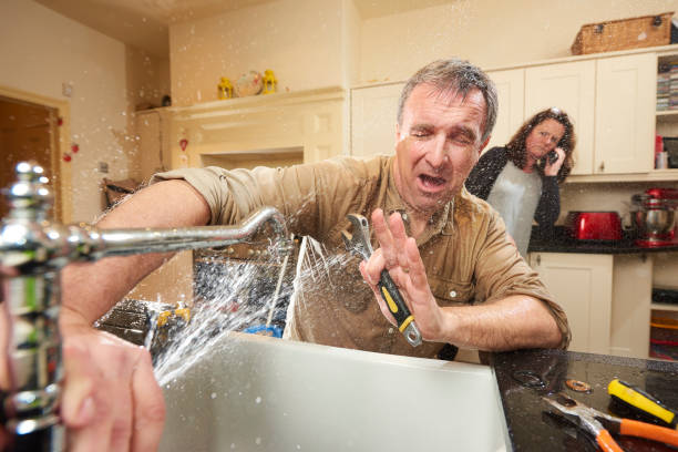 Best Water damage restoration near me  in Vienna, WV